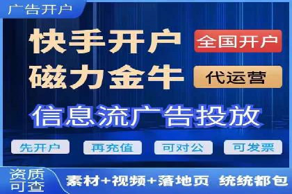 搜索引擎营销（SEM）的精准投放技巧案例
